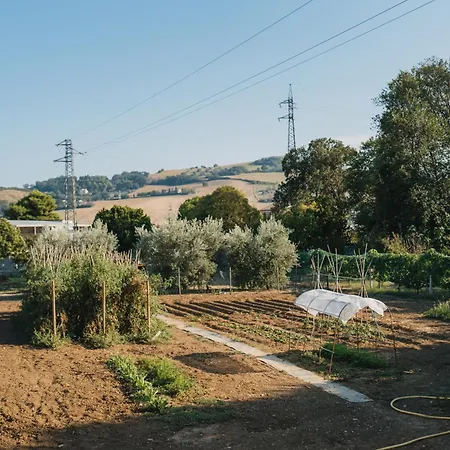 Casa Degli Ulivi - B Διαμέρισμα